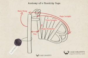 how and where we measure the chastity devices