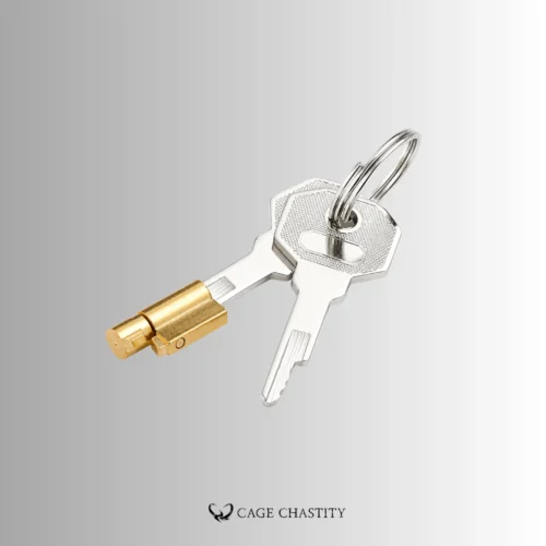 a set of two chastity device keys, working along with a paddle lock cylinder
