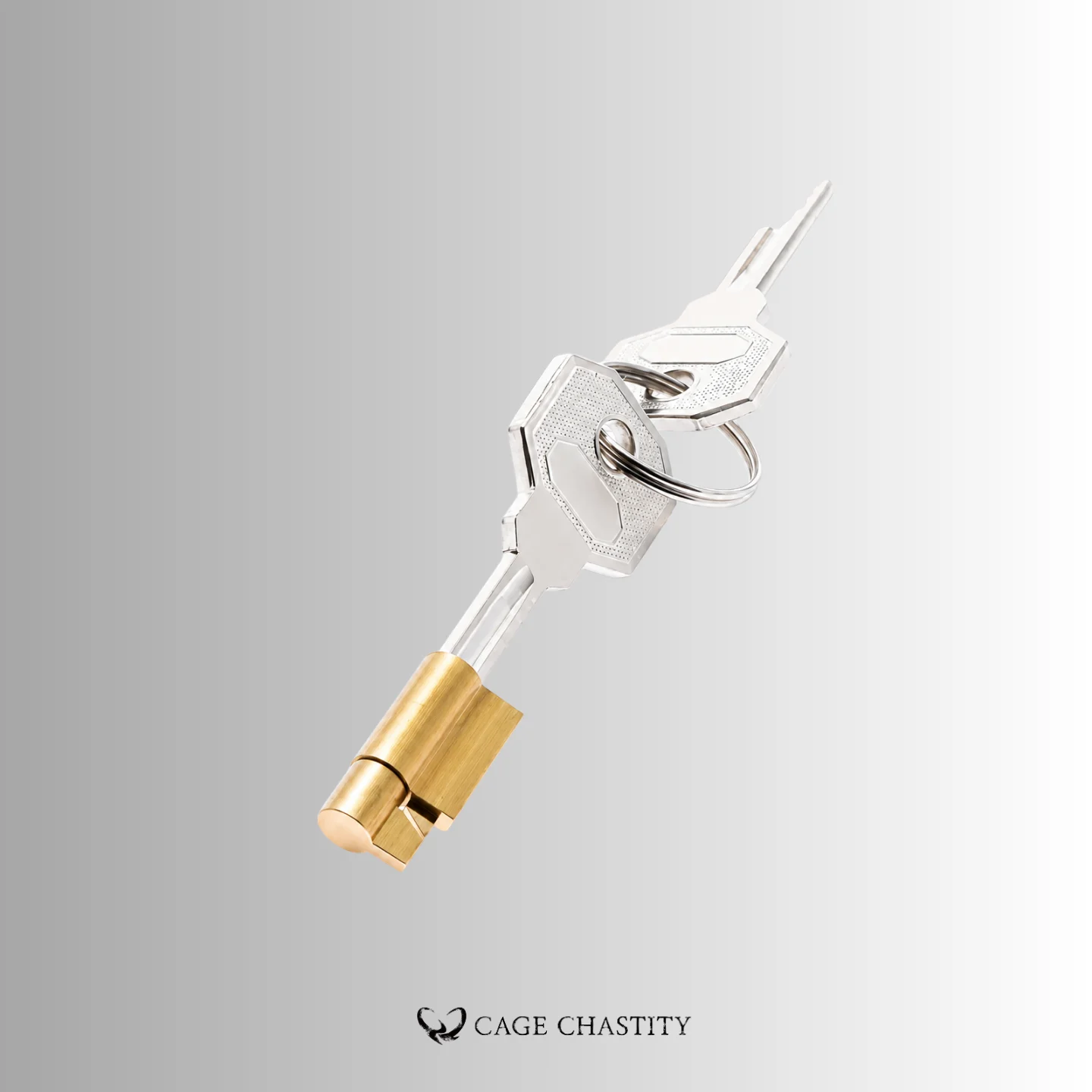 a detail guide of the padlock key set