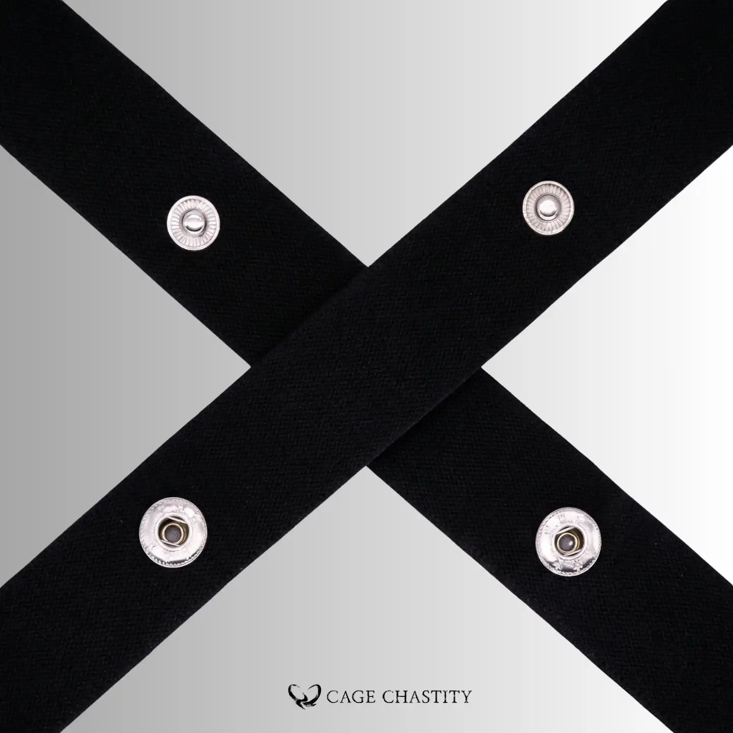 the ring to secure chastity cage on the wide strap