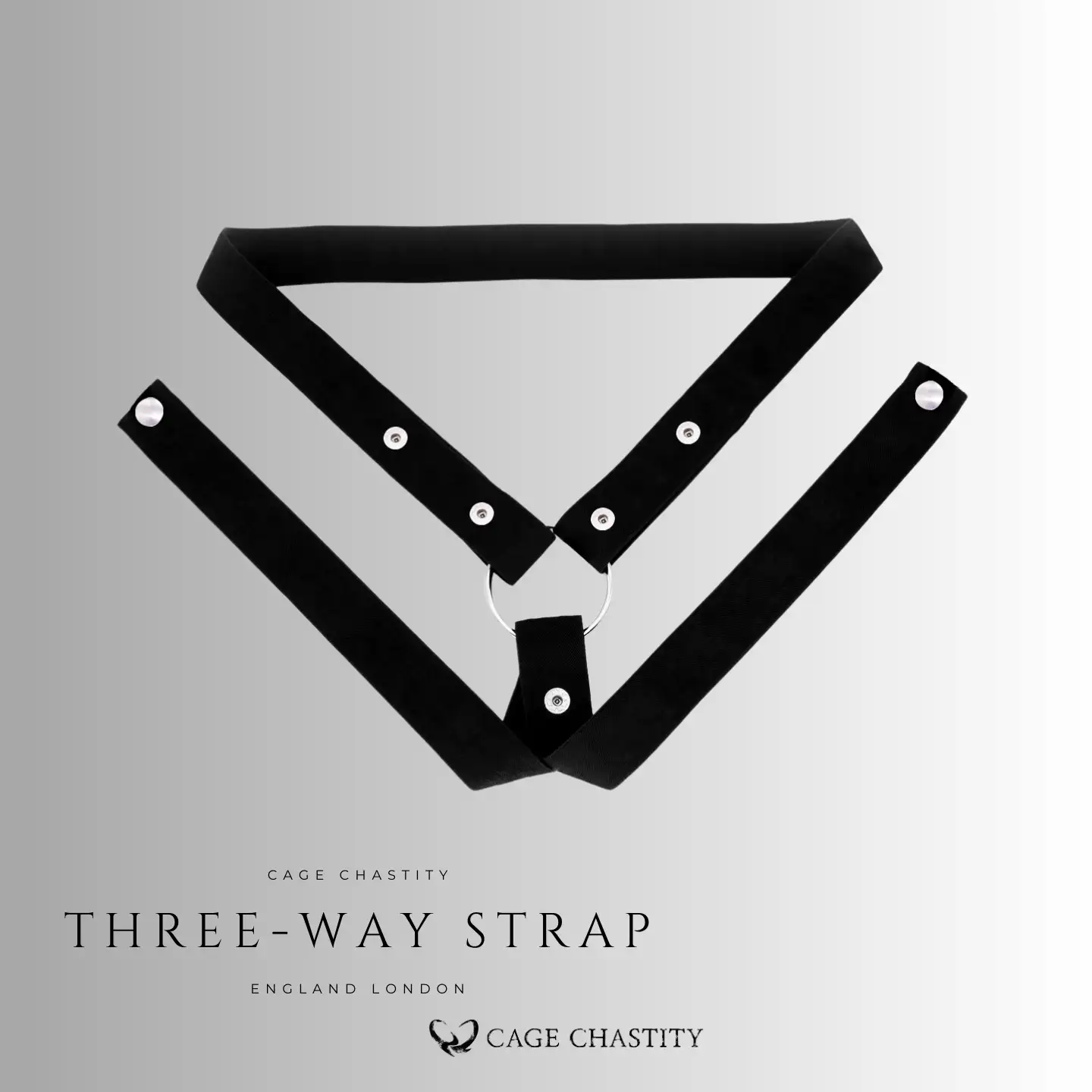 the standard three way style chastity cage strap