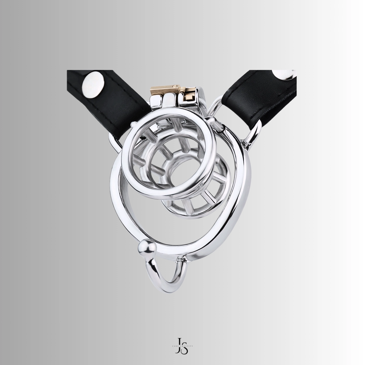 CC24 metal chastity cage with a strap-compatible ring and divider, paired with a leather strap