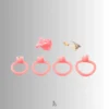rings and lock and keys of the cage set