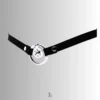 ccs1081 cage with leather strap