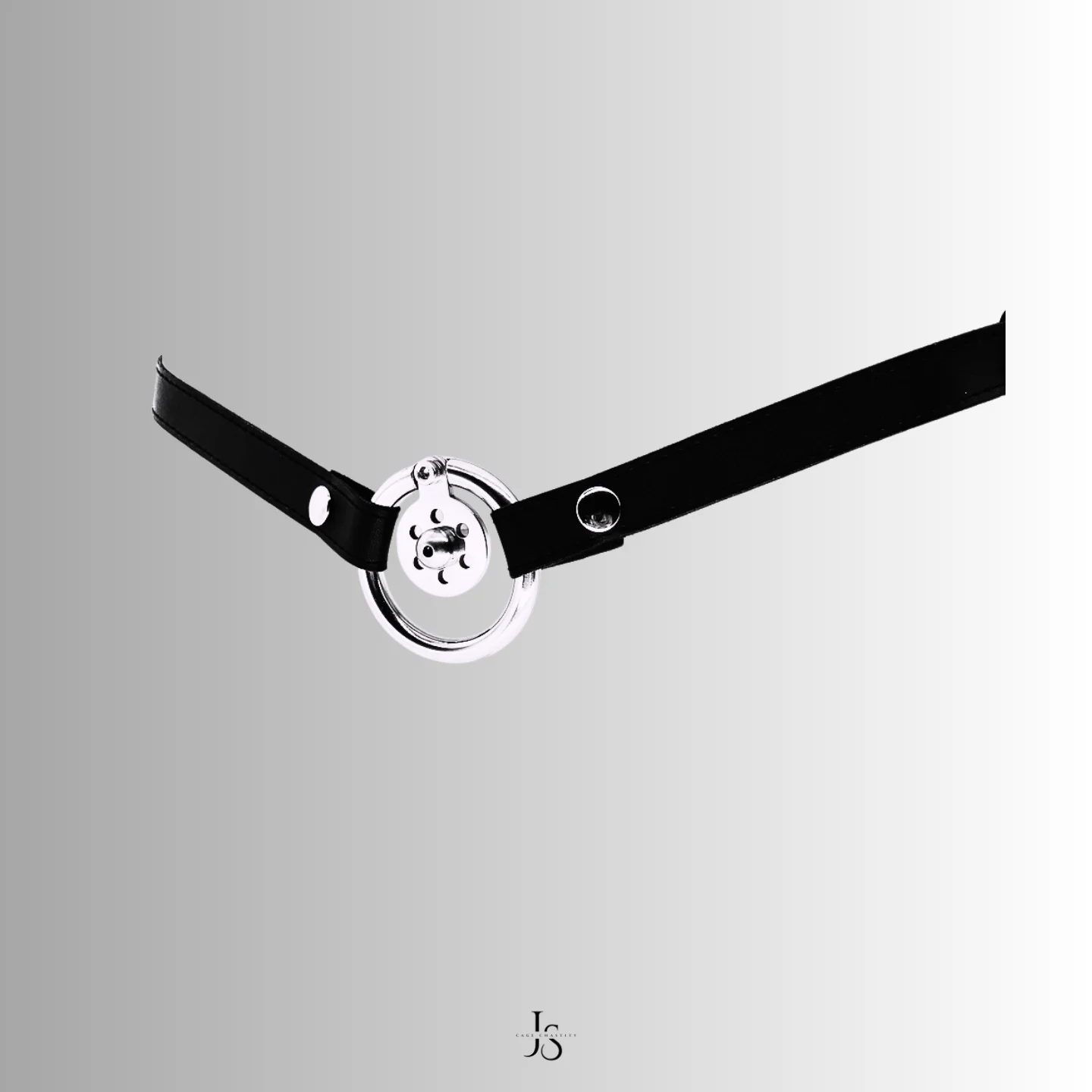 Strap-mounted display showing cage worn with leather belt