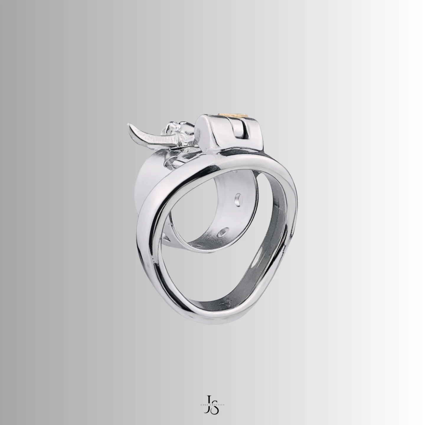 the arc ring of the bull cage