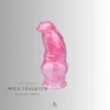 the curved body of the wild stallion