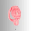 the appearance of the resin cage, with sissy sign and vulva opening
