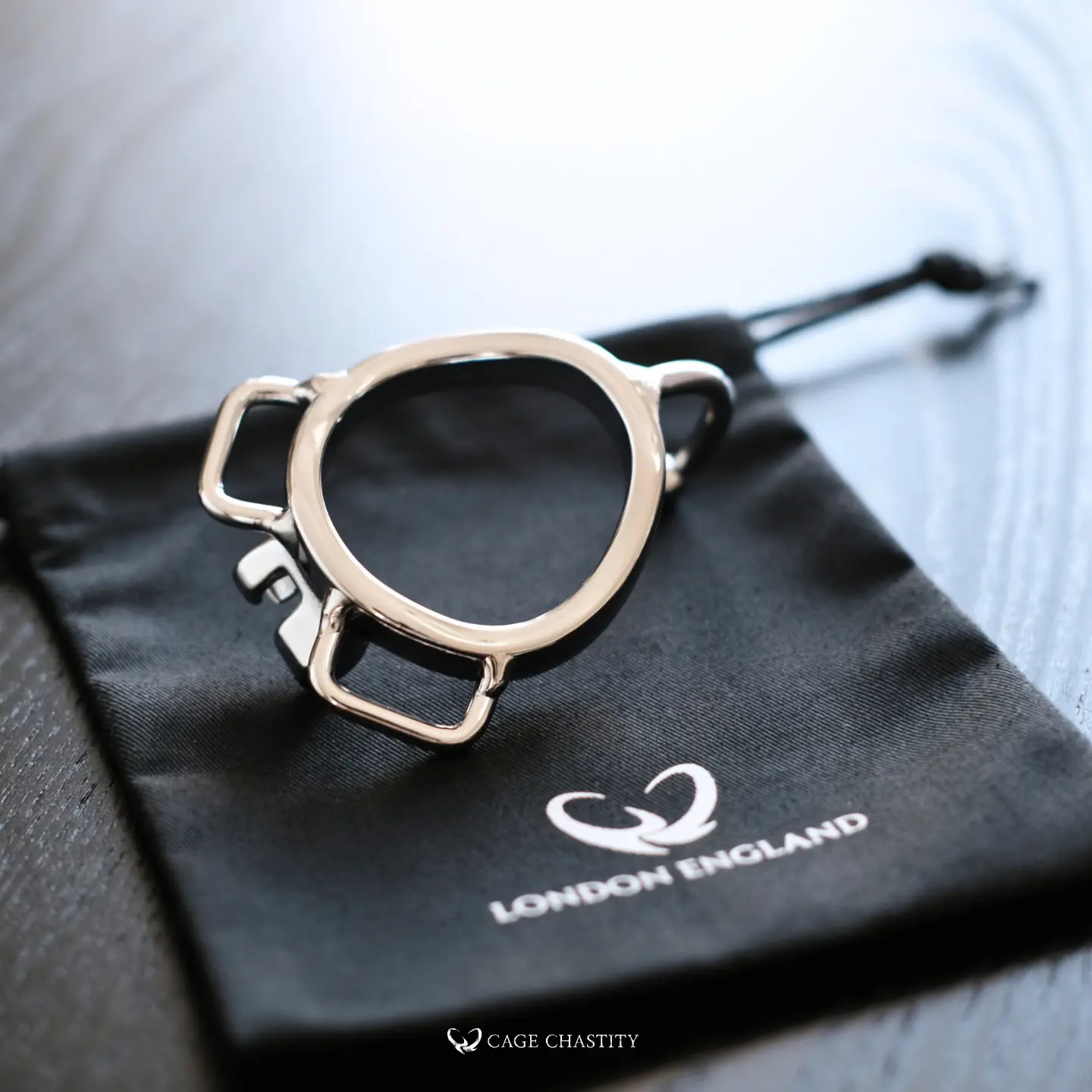 ball support ring back