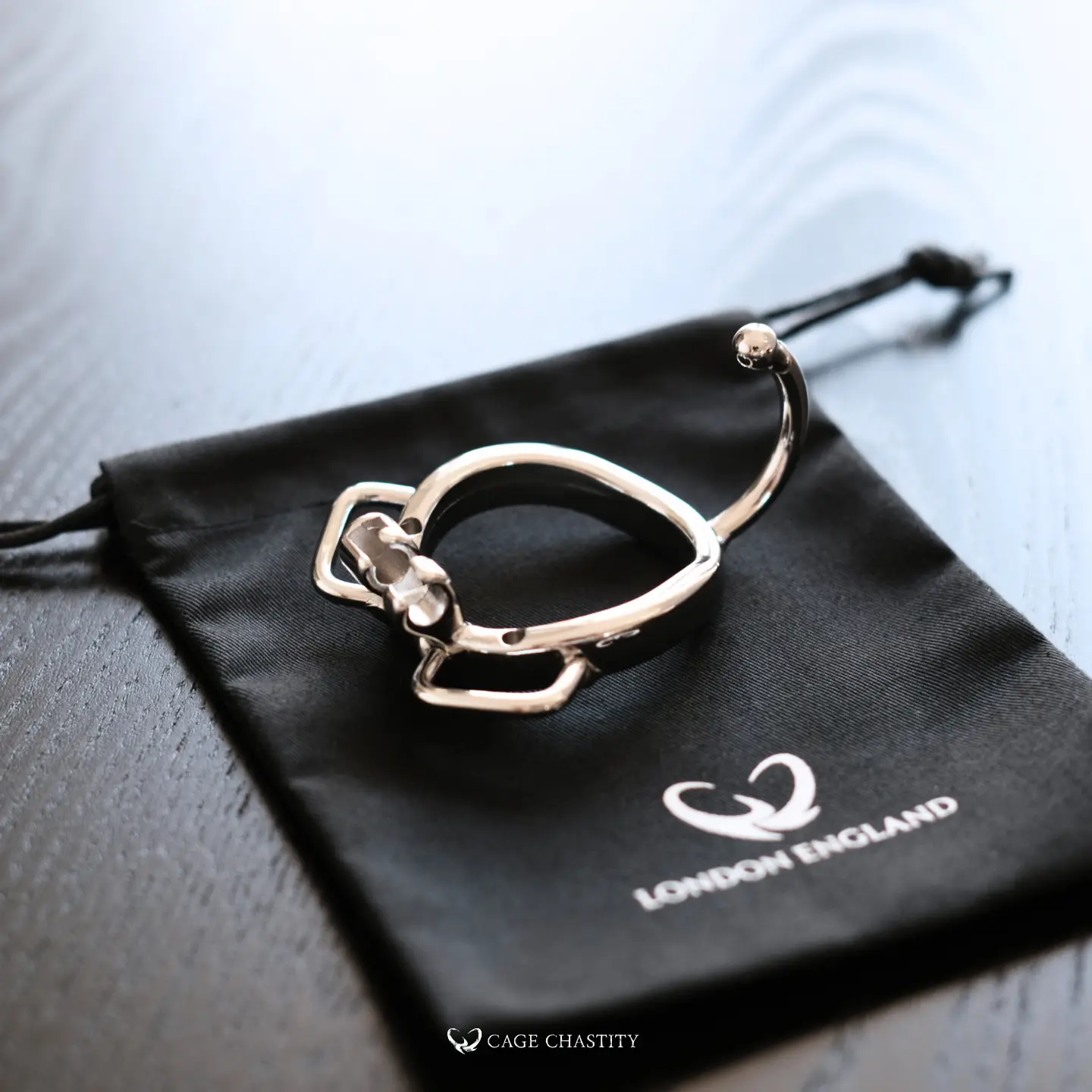the ring with a hook laying on the bag
