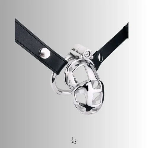 CC40 cage with leather strap, small size