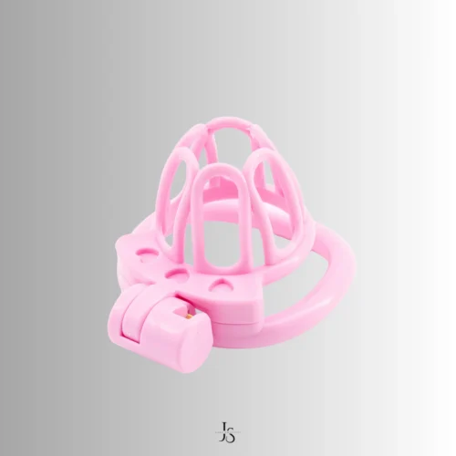 pink crown chastity cage