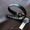 eternal collar on red brown leather surface