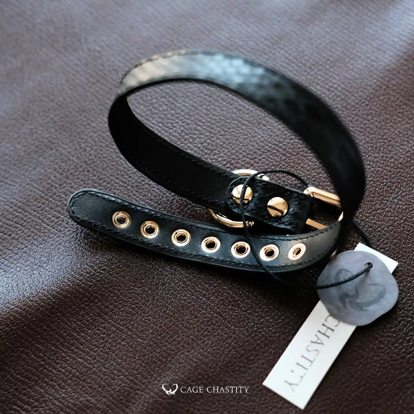 eternal collar on red brown leather surface
