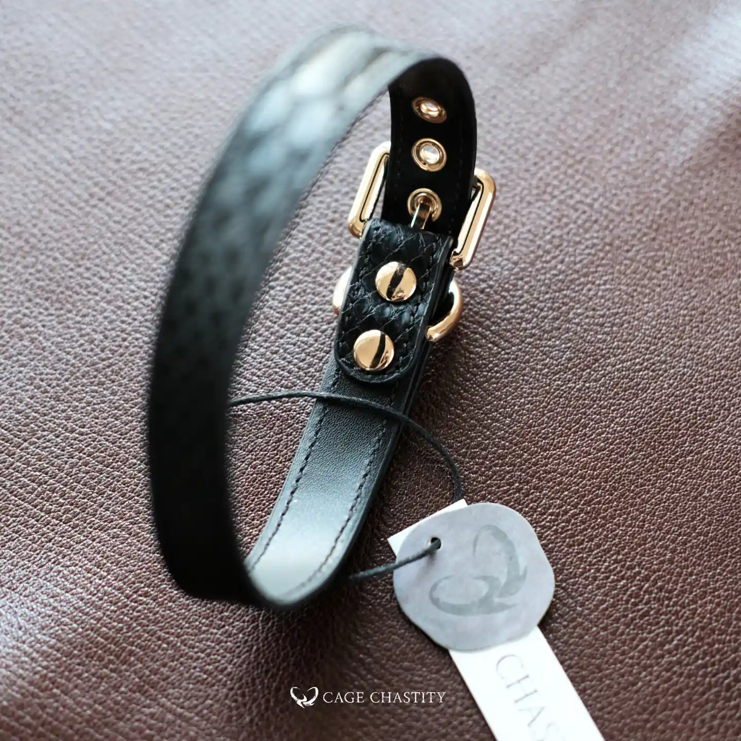 close view of the collar details