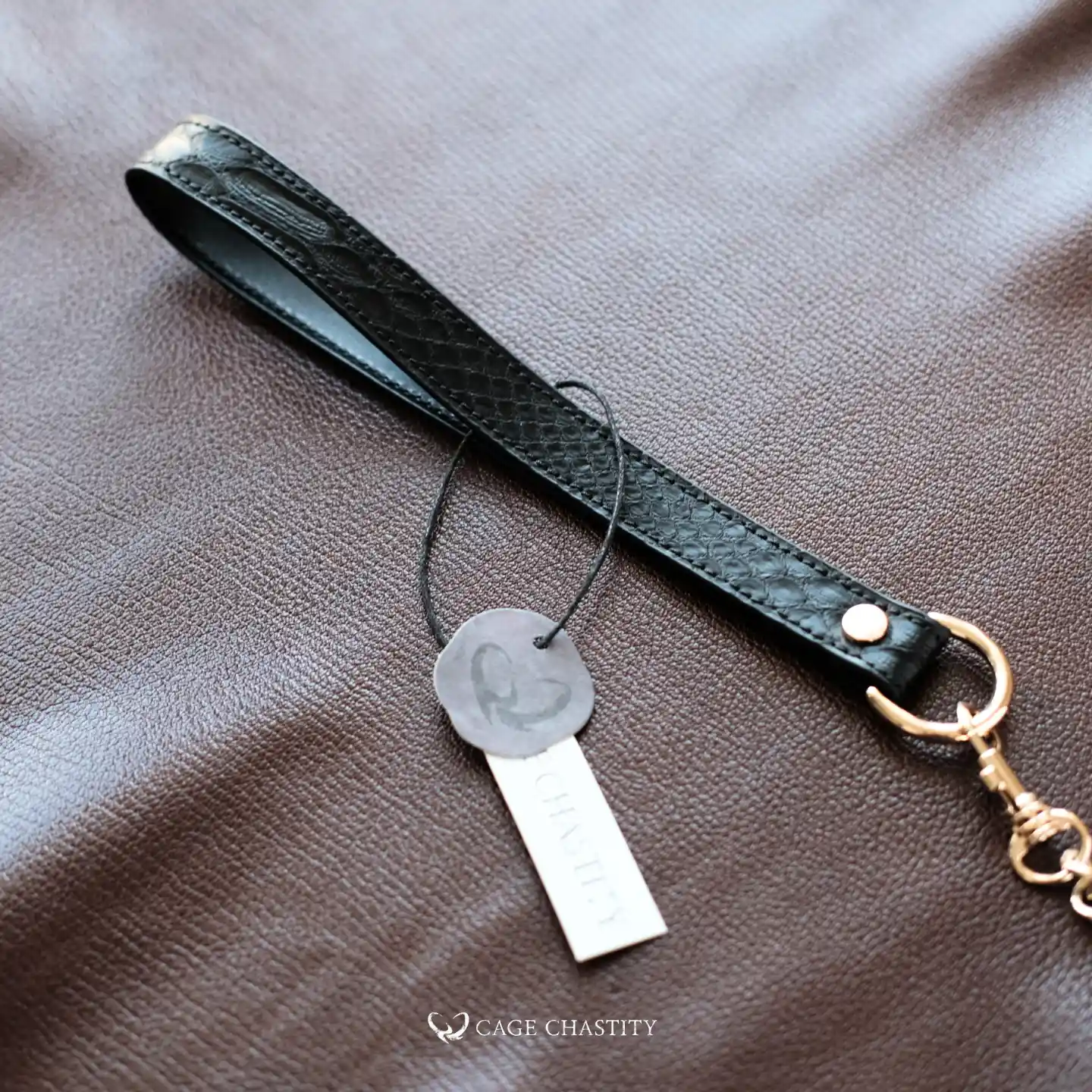 matching leash