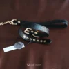 the collar with matching leash