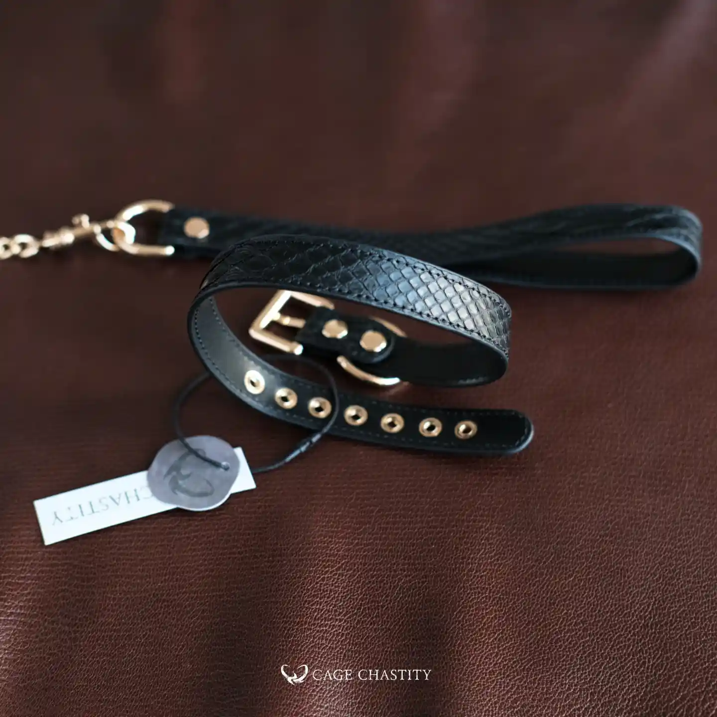 the collar with matching leash
