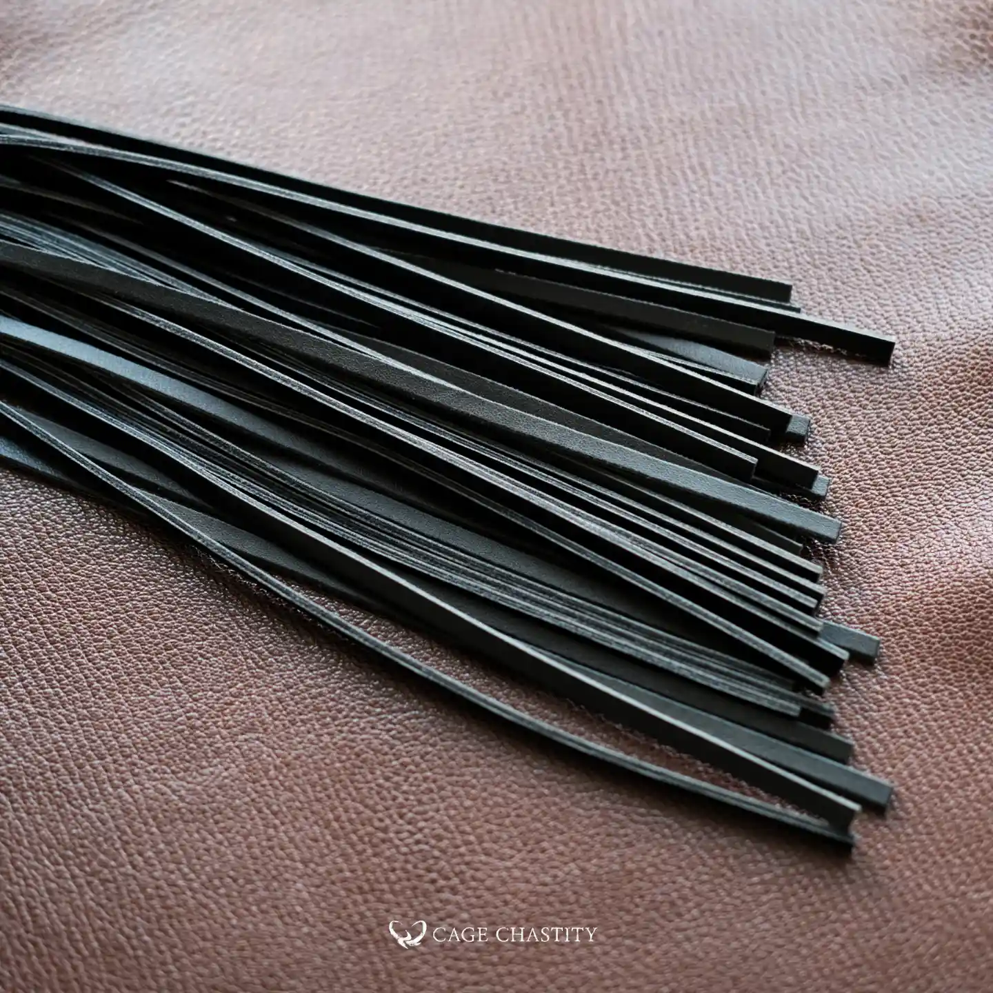 the flogger details