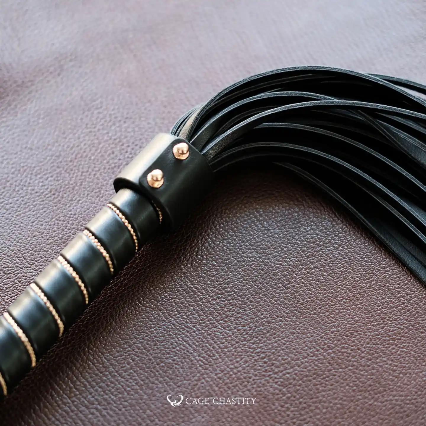 the whip details