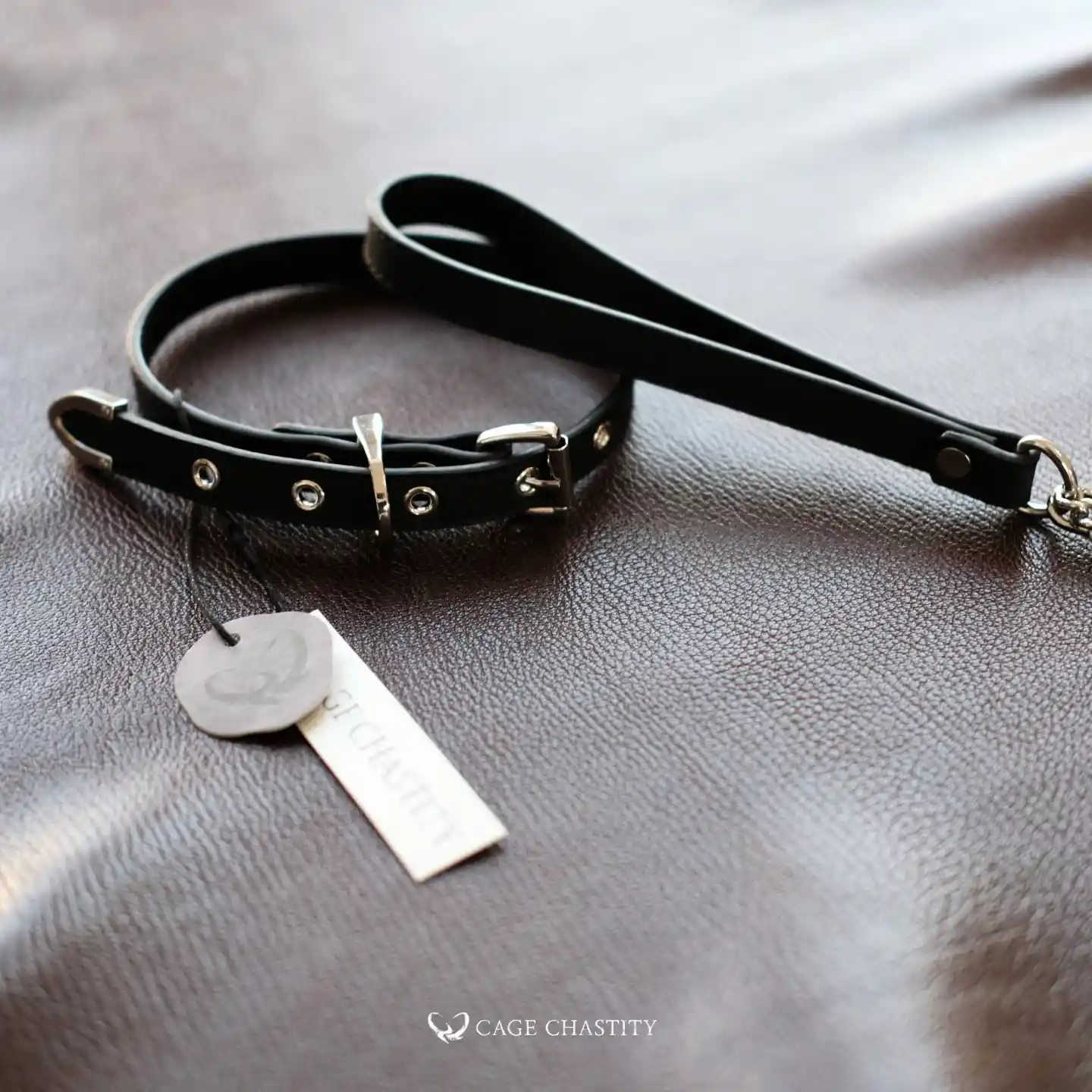 the obsidian collar with metal buckles