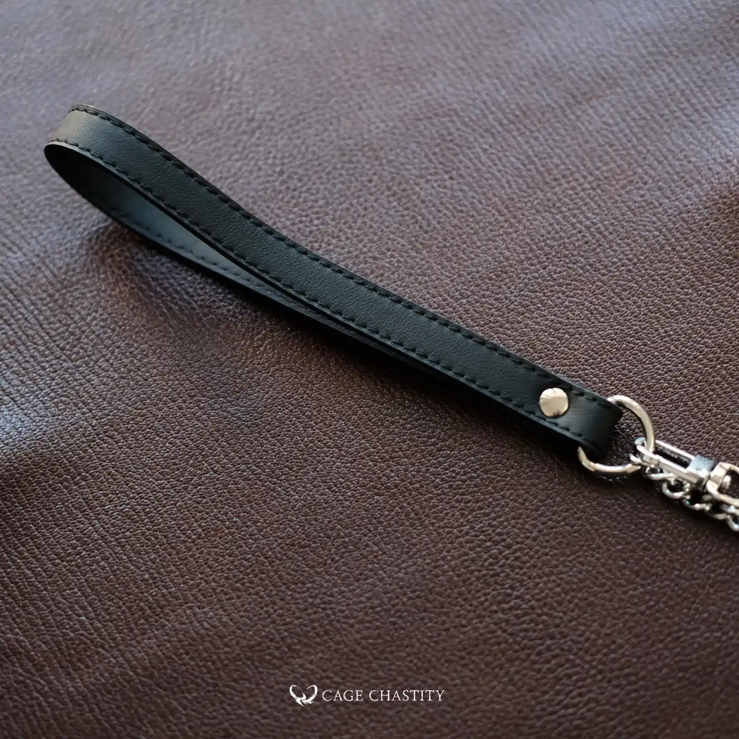 the handle of the leash