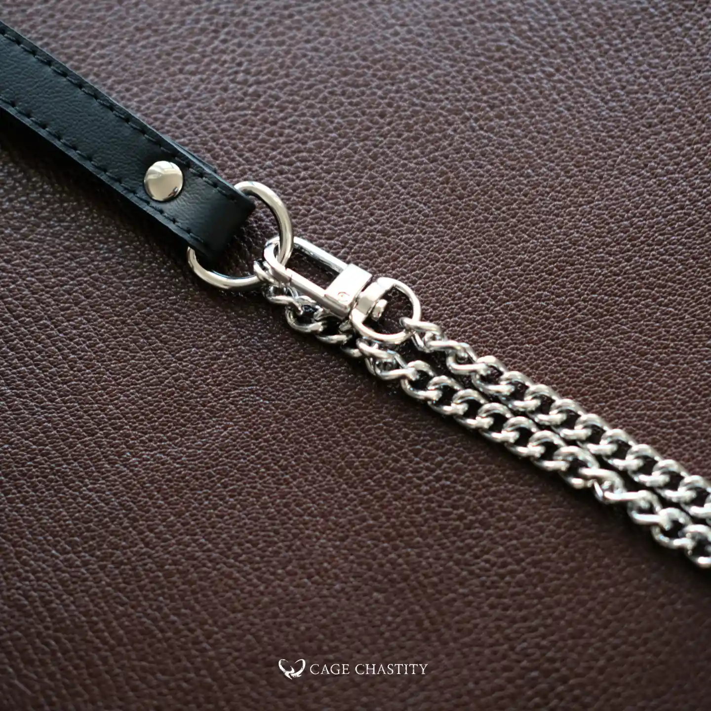 the matching chain of the discreet collar
