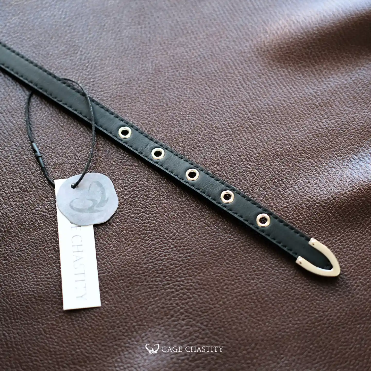 the buckles of the collar
