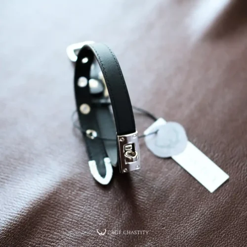 the verrou collar with kelly lock