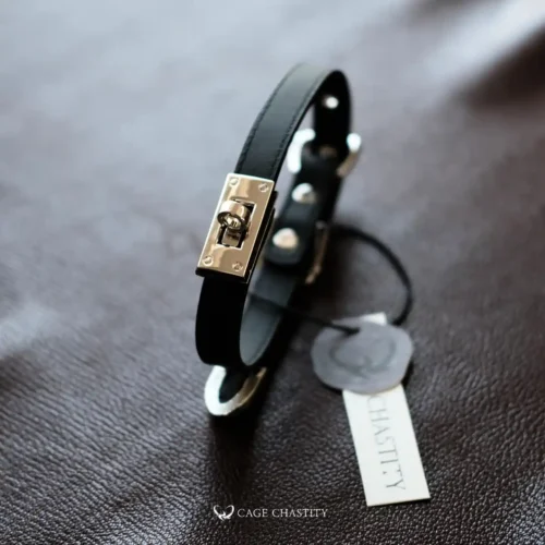 the locking buckle details
