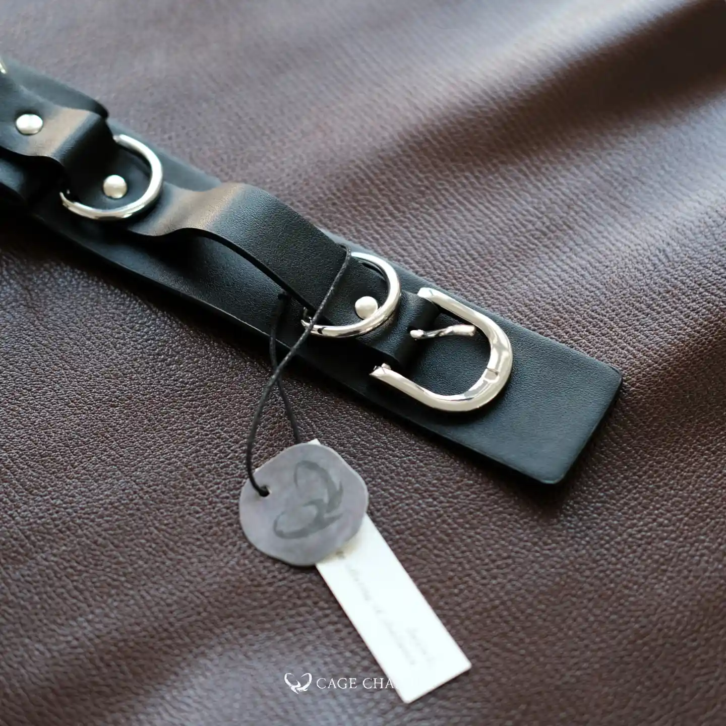 the metal buckles of the cuffs