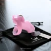 pink htv5