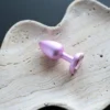 the plug side view