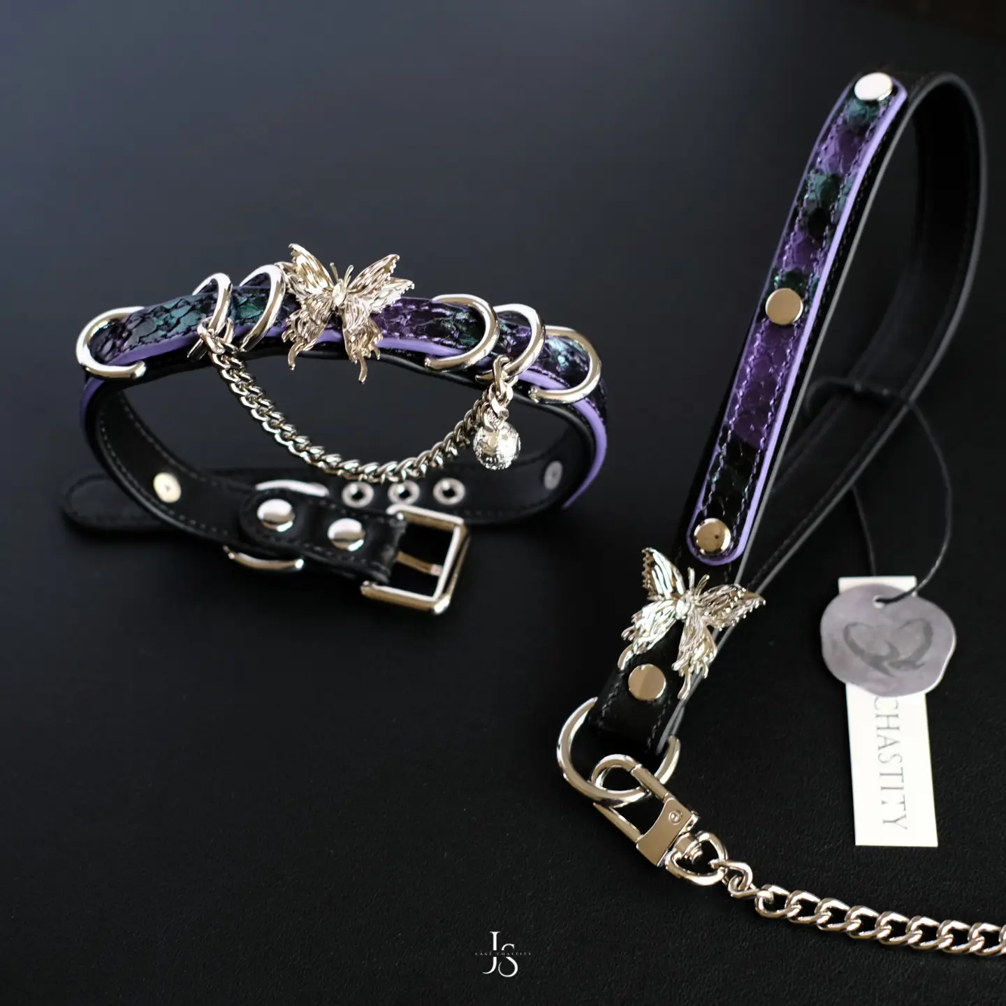 collar and leash