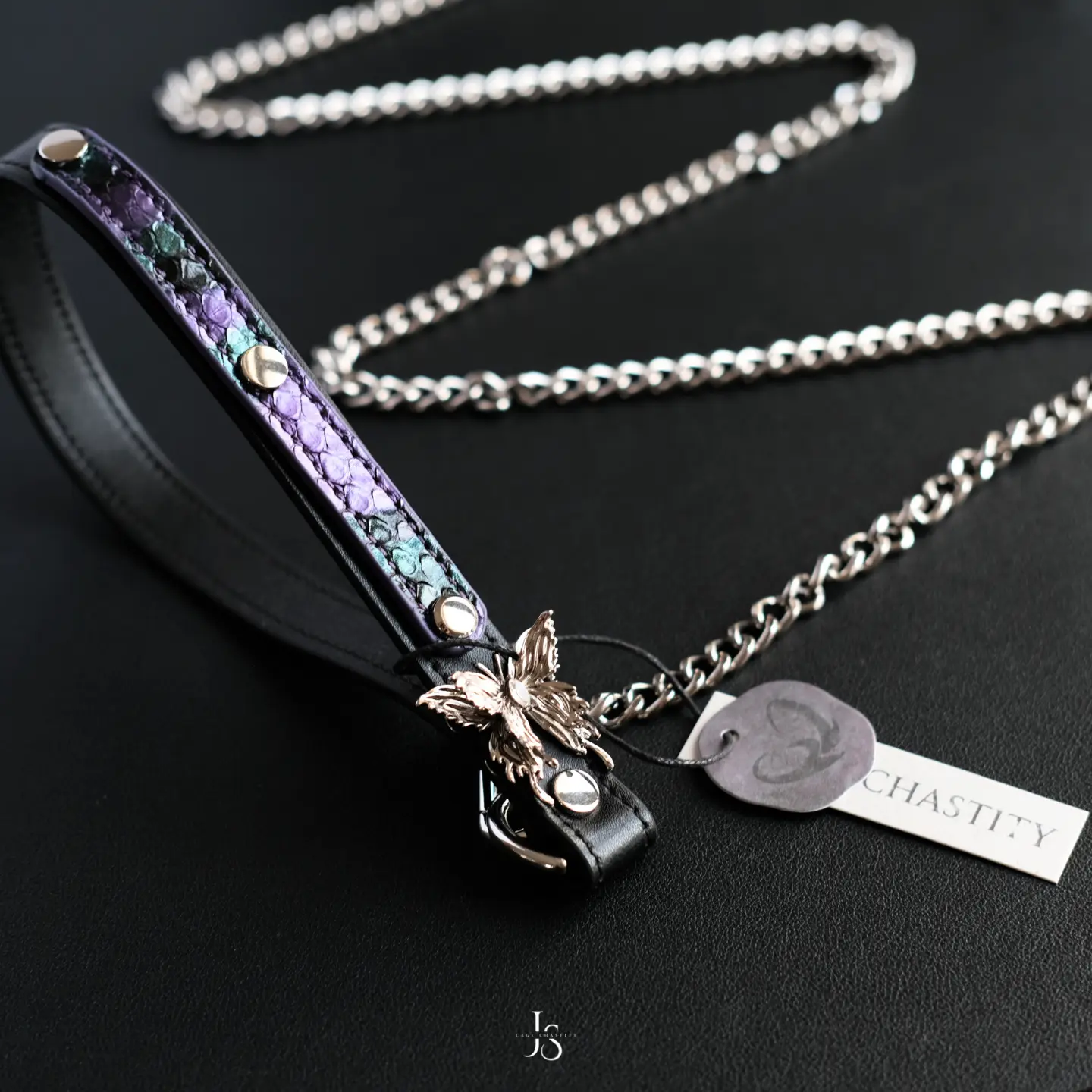 the leash with metal chain