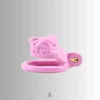 Wrinkled Foreskin Humiliation Chastity Lock