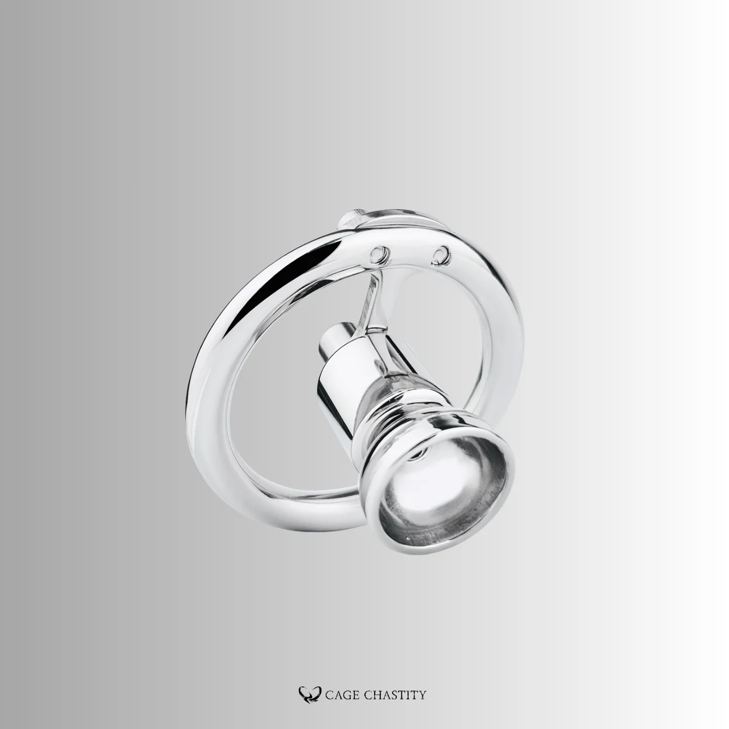ccs1089 cage with ac24 ring