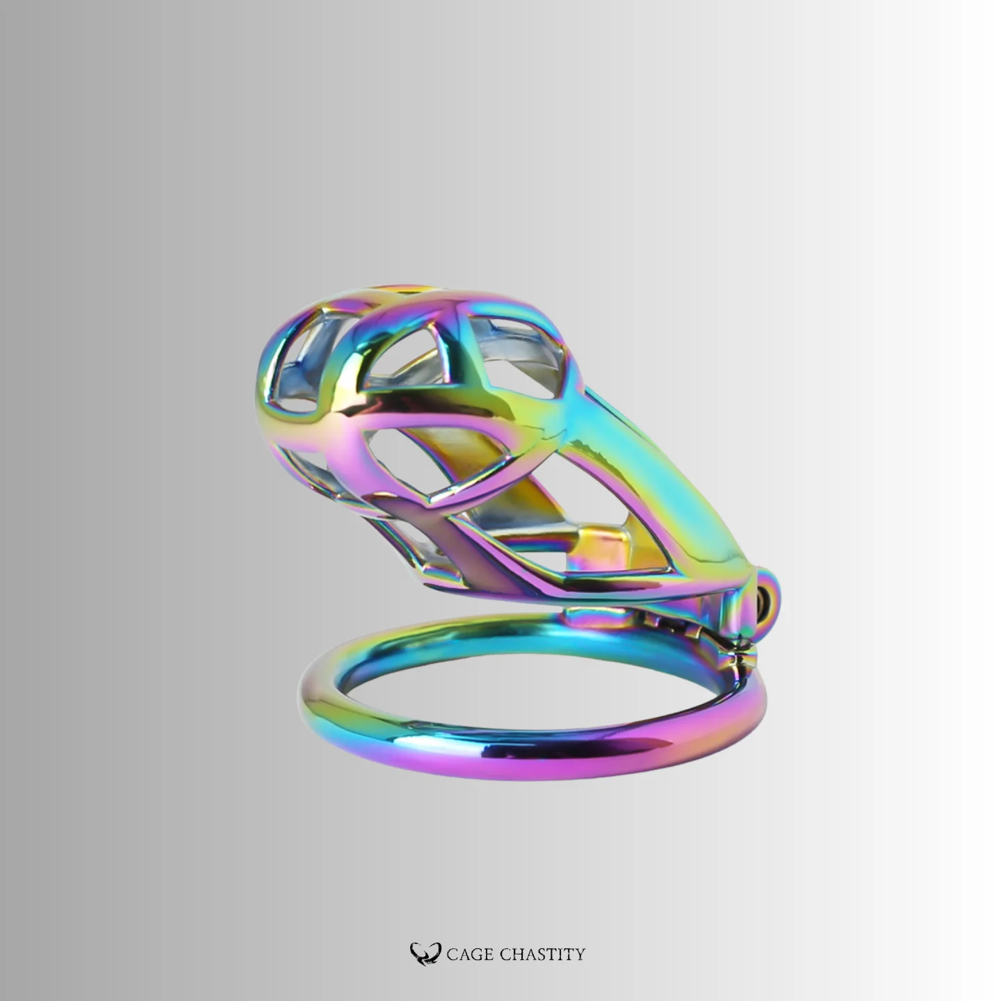 medium size rainbow cobra
