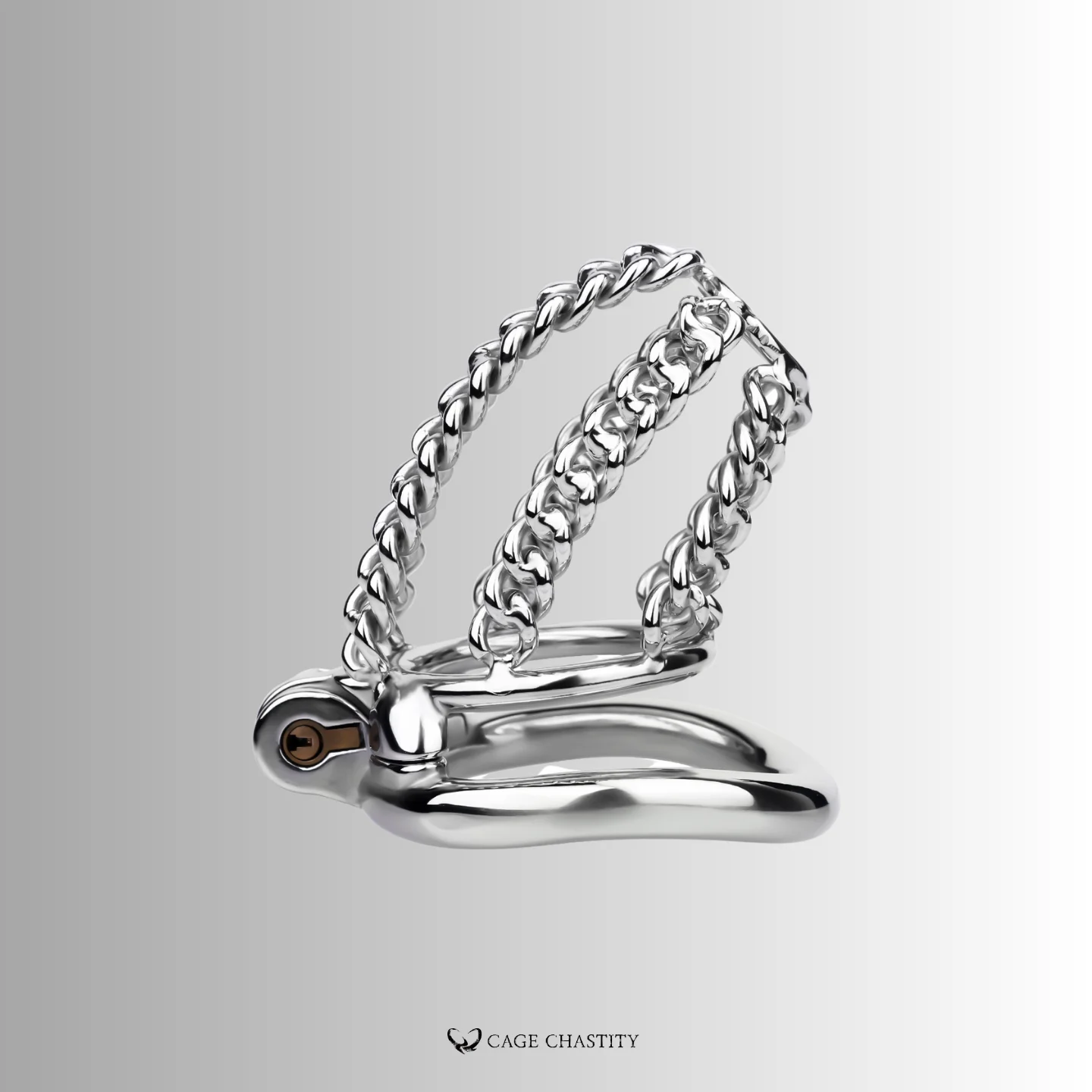 the curve of the chainlock cage