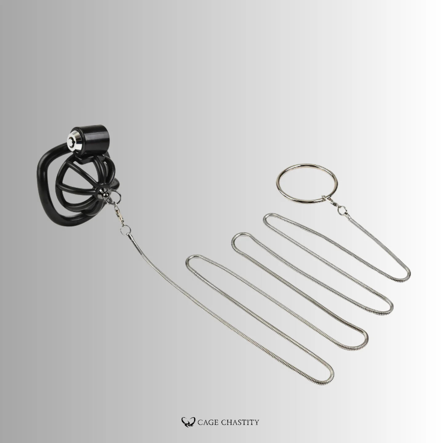 cage with metal leash