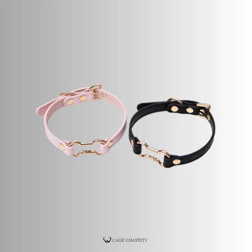 collar with metal bone tag as connection