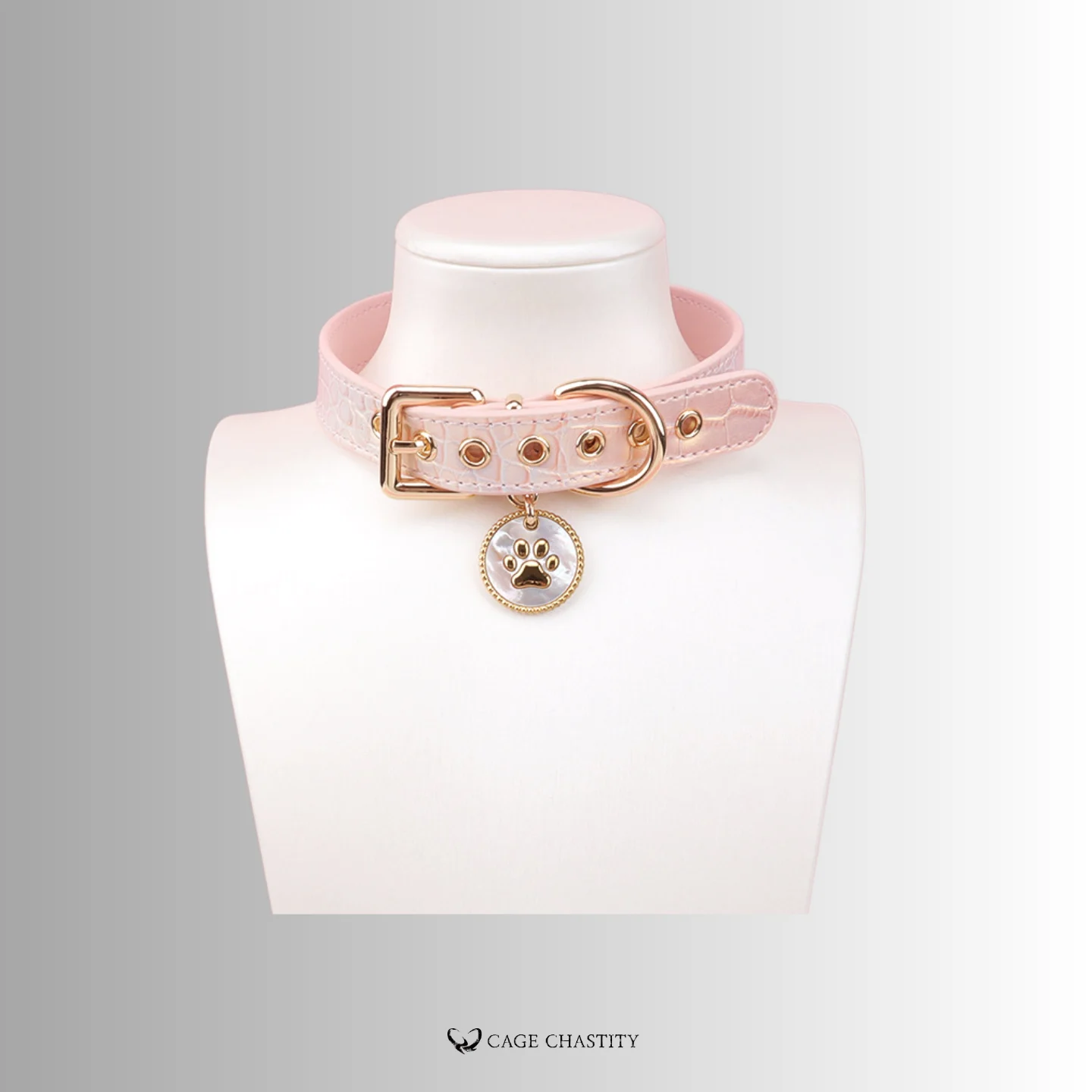 the collar tag, with paw logo