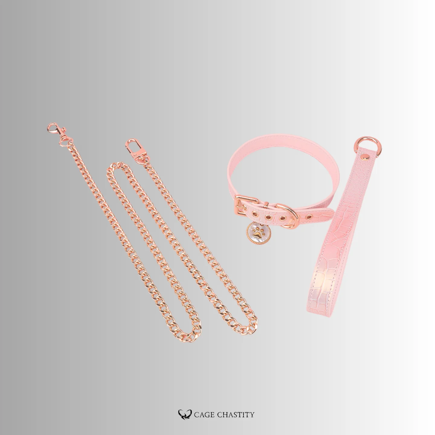 the leash and the metal chain