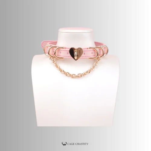 the collar on the neck