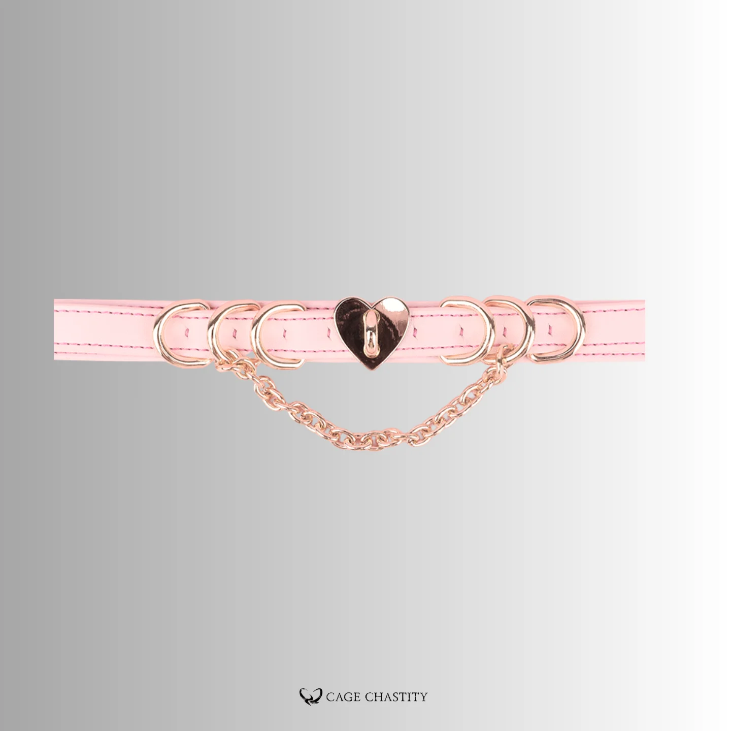 the pet sissy heart collar with gold heart tag in the middle and gold hardware