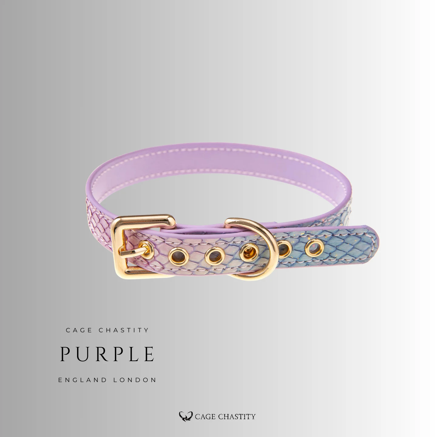 purple luxury collar