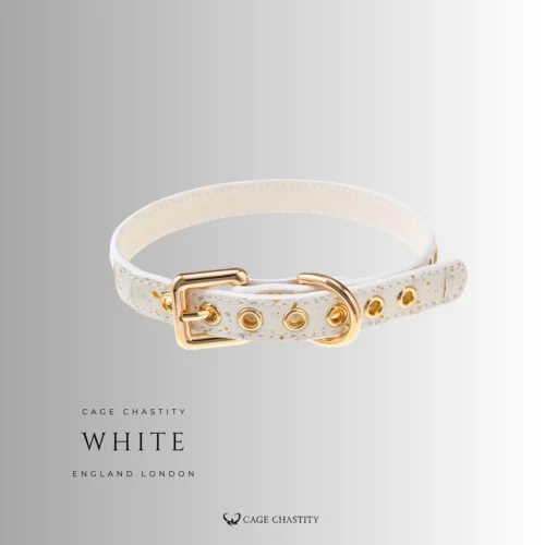 white luxury collar with gold hardware and lock