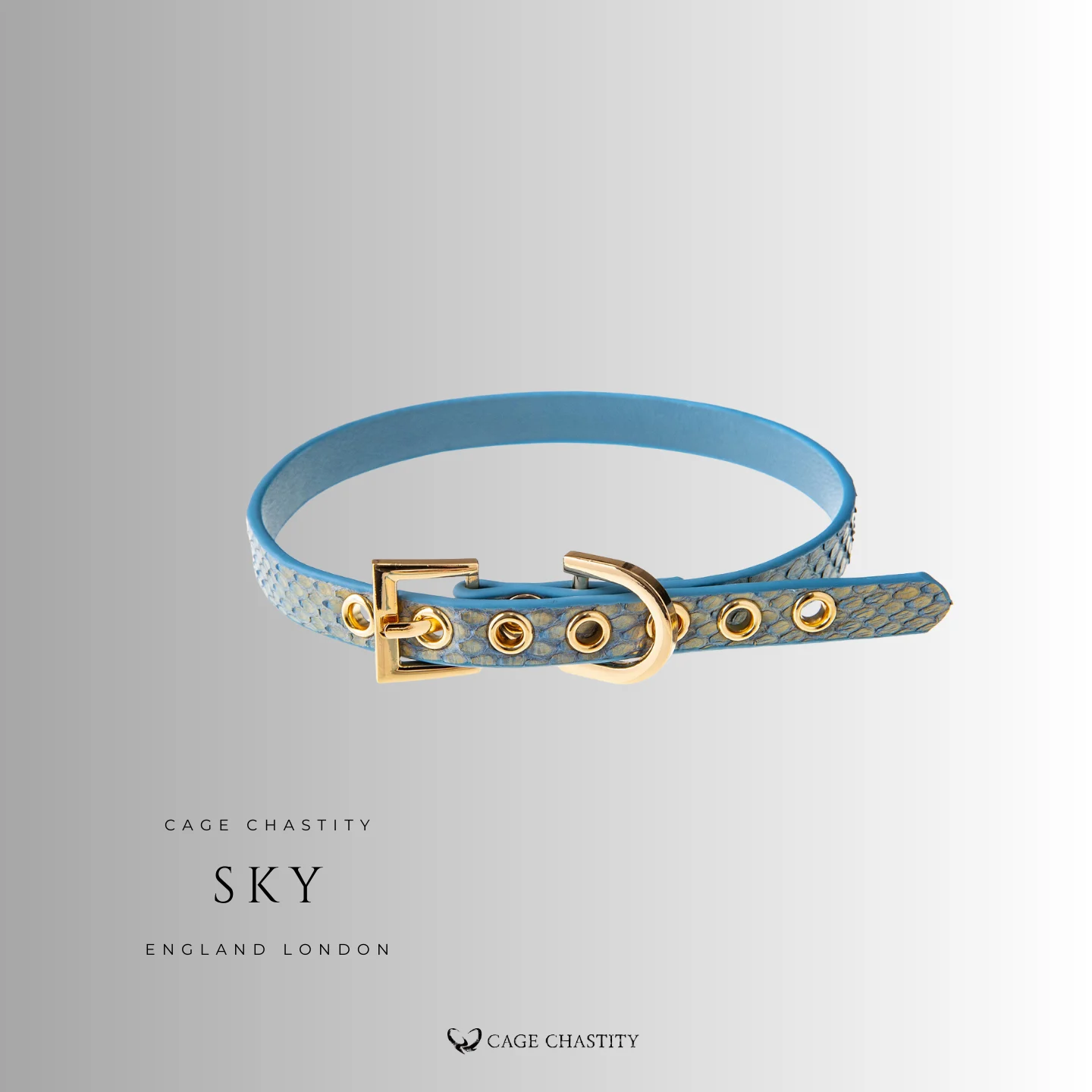 the sky edition of the daily slim collar