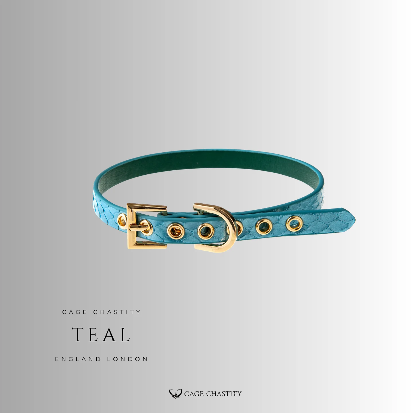 teal daily slim collar