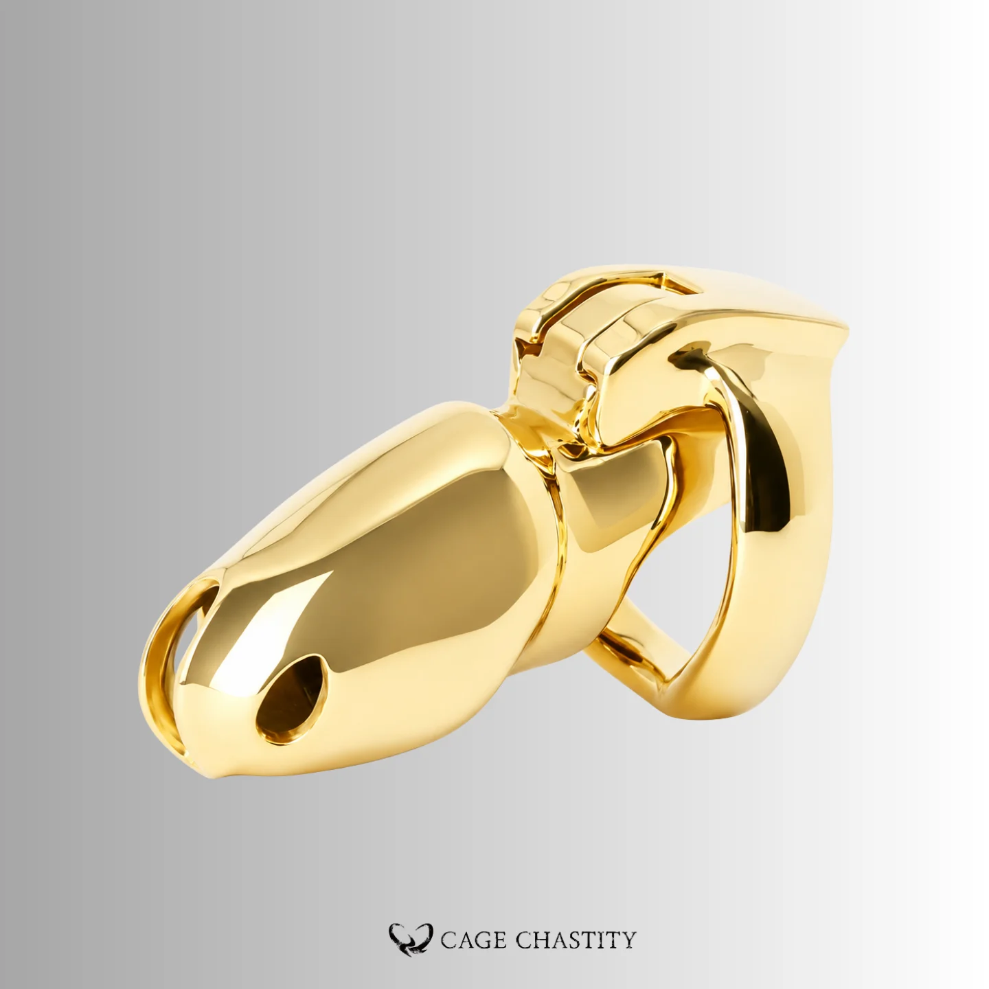 side view of the gold htv4